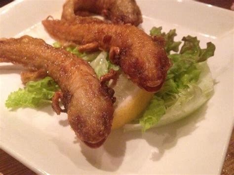 Yokohama restaurant serves fried axolotl, along with giant isopod, camel, and crocodile ...