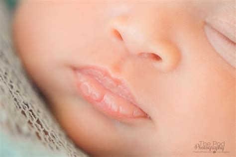 Newborn Baby Photographer Hollywood - Los Angeles based photo studio, The Pod Photography ...