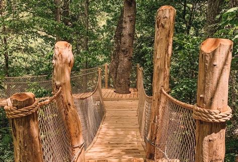 "The Nest" Tree House - Sleeps 2 - Camping in Asheville | Tree house ...