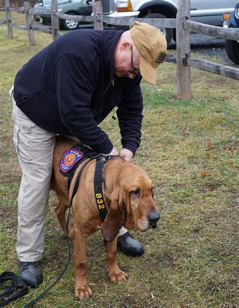 Commission hosts bloodhound training - nj.com