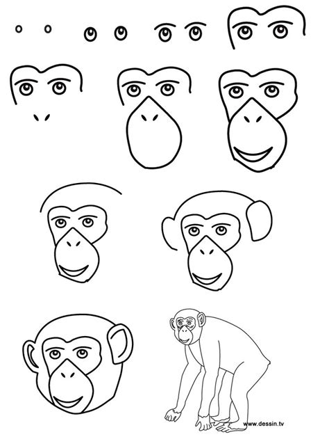 Drawing chimpanzee | Art drawings for kids, Drawing tutorial, Drawings