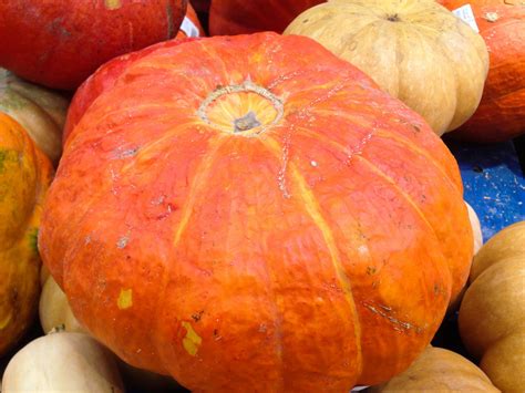Free Images : food, produce, autumn, pumpkin, gourd, jack o lantern, vegetables, calabaza ...