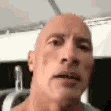 Rock Bald Head GIF - Rock Bald Head Meme - Discover & Share GIFs