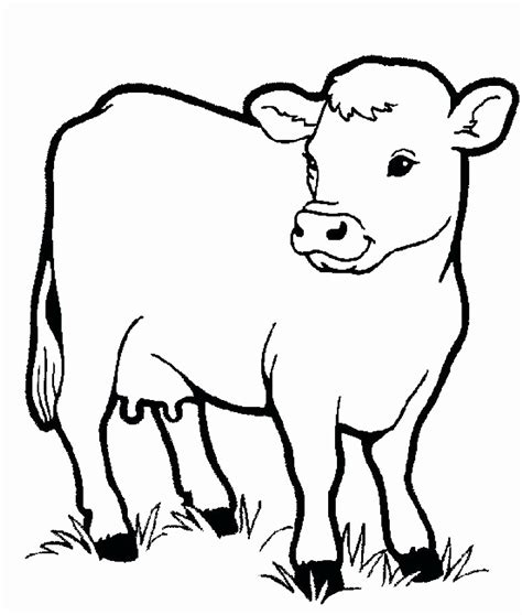 Baby Farm Animal Coloring Pages at GetColorings.com | Free printable colorings pages to print ...