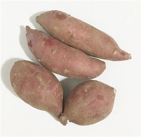 Amazon.com: Japanese Sweet Potato Boniato Oriental (3 Lbs)