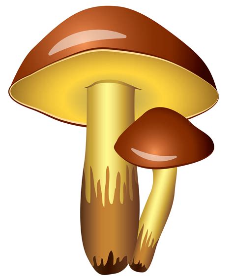 Free Mushroom Transparent, Download Free Mushroom Transparent png images, Free ClipArts on ...