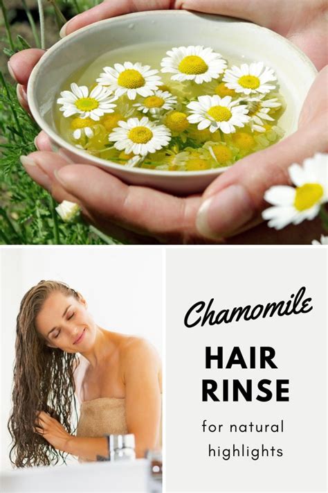 Chamomile Hair Rinse - Herb Gardening Ideas