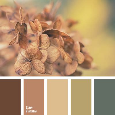 chocolate color | Page 10 of 15 | Color Palette Ideas