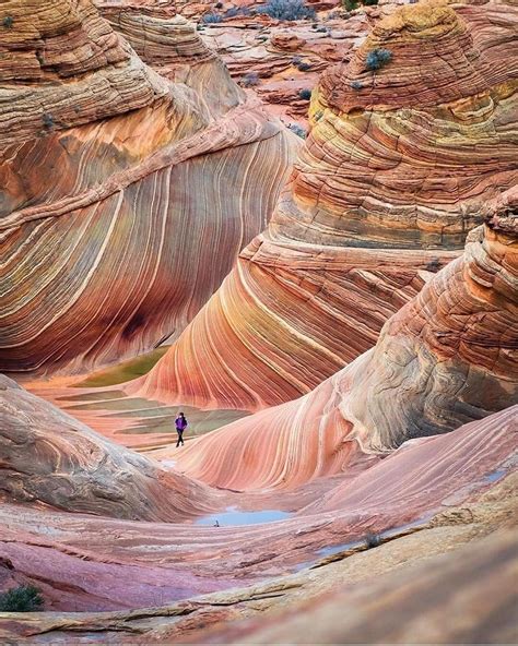 The Wave - Arizona by @travisburkephotography... | Places to travel ...