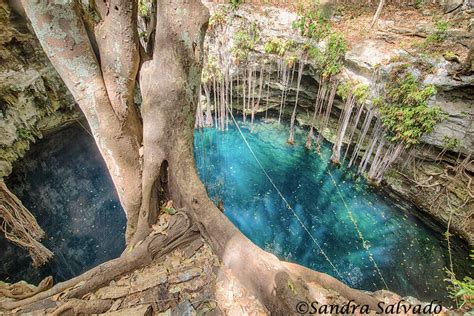 cenote Lol Ha, Yaxunah | Cenotes en mexico, Peninsula de yucatan, Viajes