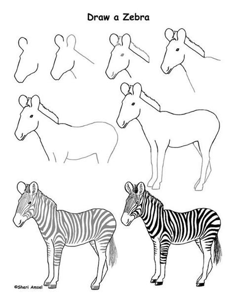 j'apprends à dessiner | Zebra drawing, Animal drawings, Zebra art