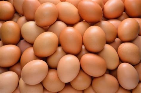 Eating Eggs Reduces Risk of Type-2 Diabetes