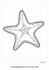 Star Fish Coloring sketch template
