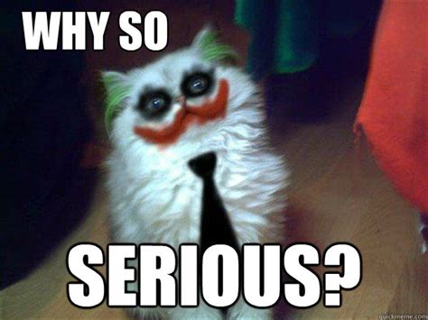 Why so serious? - Why So Serous Cat - quickmeme