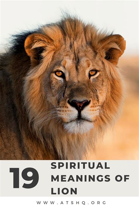 Lion Symbolism: 19 Spiritual Meanings Of Lion