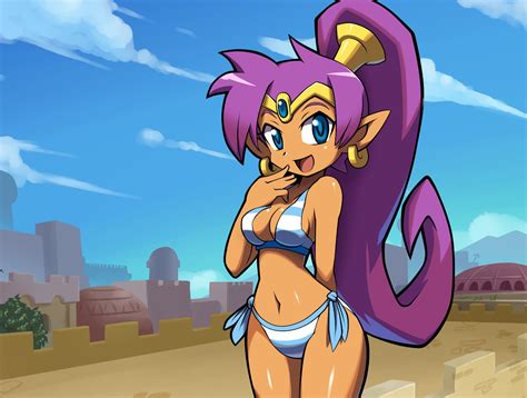 Review: Shantae: Half-Genie Hero Ultimate Edition (Nintendo Switch) - Digitally Downloaded