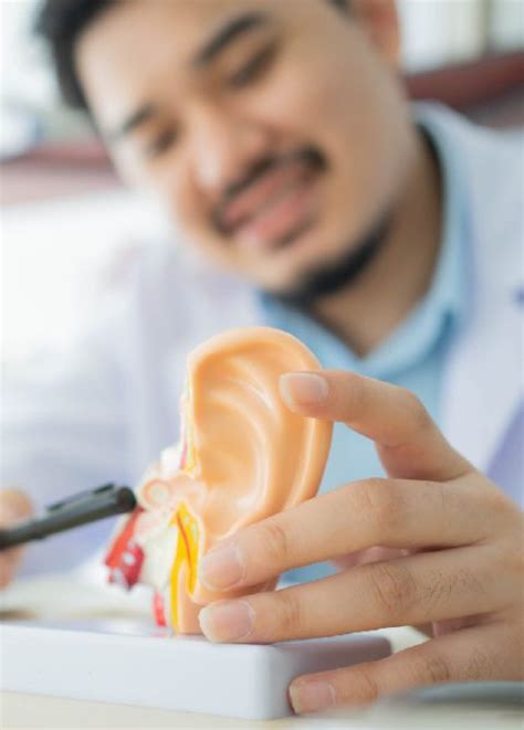 Types & Causes of Hearing Loss | Beltone Hearing Aid Centers