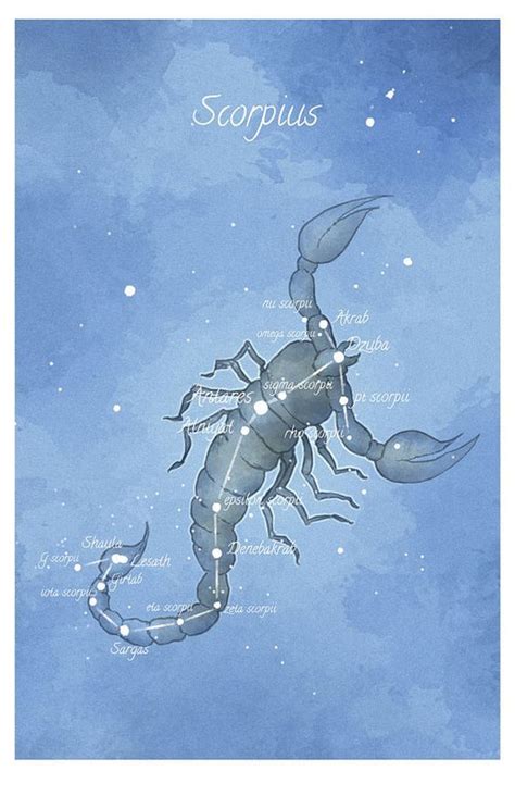 Scorpio | Astronomy art, Scorpio art, Astrology scorpio