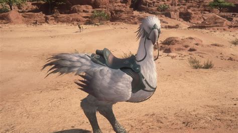 Chocobos are Called 'Horses' in the Japanese Version of Final Fantasy XVI - IGN