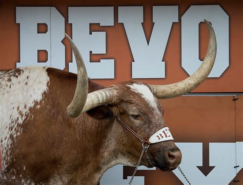 University Of Texas Longhorns Mascot