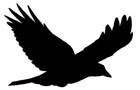 Bird flight Bird flight Common raven Clip art - birds silhouette png ...