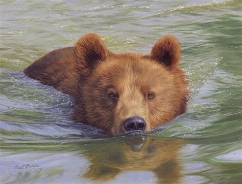 Brown Bear Painting Painting by David Stribbling