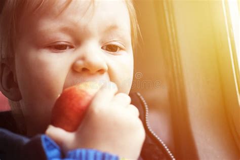 Boy Bites Red Apple with Appetite. Stock Image - Image of adorable ...