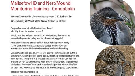 MALLEEFOWL ID AND NEST/MOUND MONITORING TRAINING – CONDOBOLIN - FRIDAY, 20 MARCH - Condobolin Argus