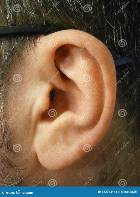 Healthy Side View of the Ear Stock Photo - Image of close, hearing ...