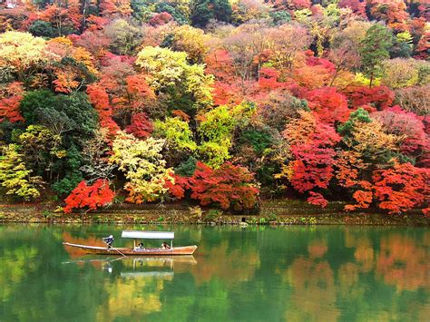 Autumn in Japan: 10 Best Things to Do in 2024 - Japan Web Magazine