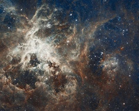 Tarantula Nebula - 30 Doradus (NGC 2070) | Constellation Guide