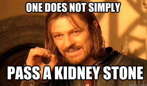 one does not simply pass a kidney stone - Boromir - quickmeme