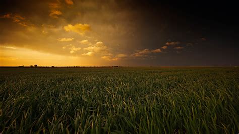 Grass field in Oklahoma | Sunset wallpaper, Field wallpaper, Landscape