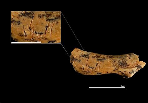 Lauren alexis leak xxx i was watching the profile of Rose