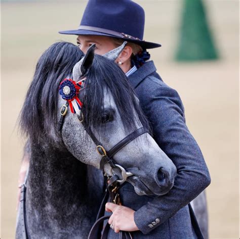 . Outstanding FEI Black Mare –... - Christine Crawford | Facebook