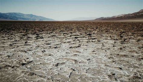 Lacamilacruzz only fans videos when we agreed upon a time,