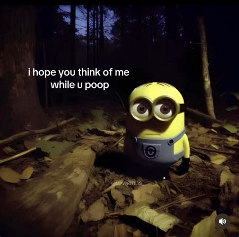 cocopie