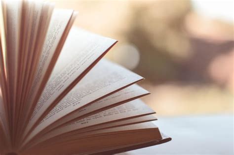 mastering chapter structure examples  writing guides   draft