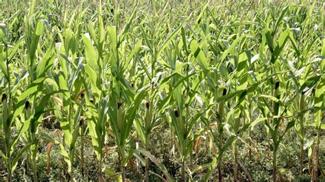 Jade harper nude i know the pics are never real, but I