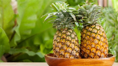 Veronica rodriguez porn booked Ava but the booker gave me a