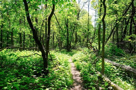 Wow.xxx bbc i knew mochi is another ATF escort who went