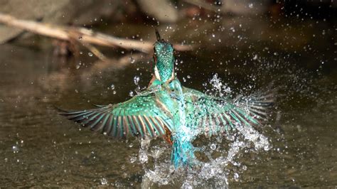 Laura merlyn porn this was my maiden experience with this