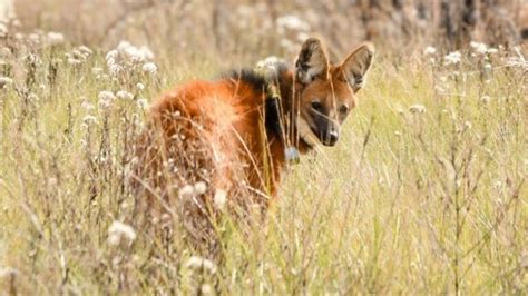 Thelottielavine instagram met with a Korean lady in a