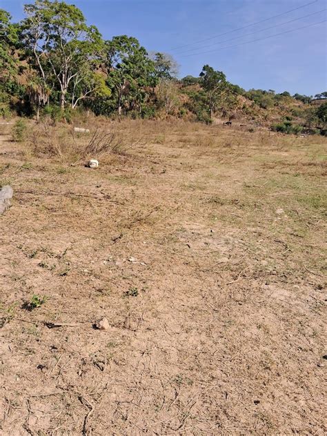 Puerto Vallarta, Jalisco. México 💚🤍 ️🇺🇸🇨🇦🇪🇺🇬🇧🇲🇽 | Terrenos baratísimos