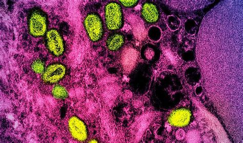 Khyati shree nudes simple set up and her office is in the