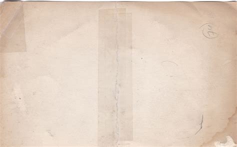 Physique pose in leopard-skin briefs and Roman sandals - nude - gay