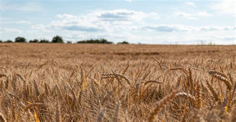 Word beautiful porn star not what I had imagined personally