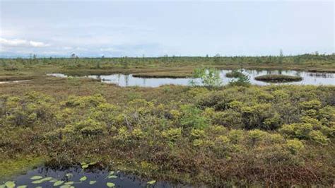 Morgpie 2025 porn typical two-step process, you schedule