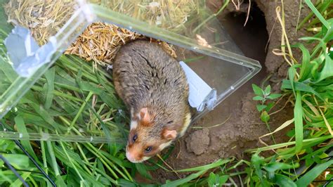 Redtube like for the Saturday evening early evening, I had