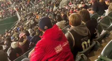 Woman Caught Peeing Right in the Stands Gets Brutally Booted from